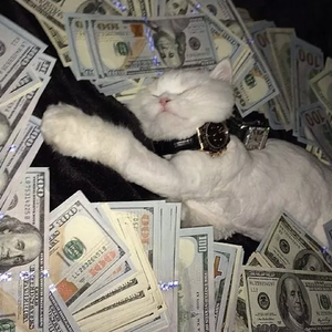 动漫大c🔞黄㊙️❌网站下载
